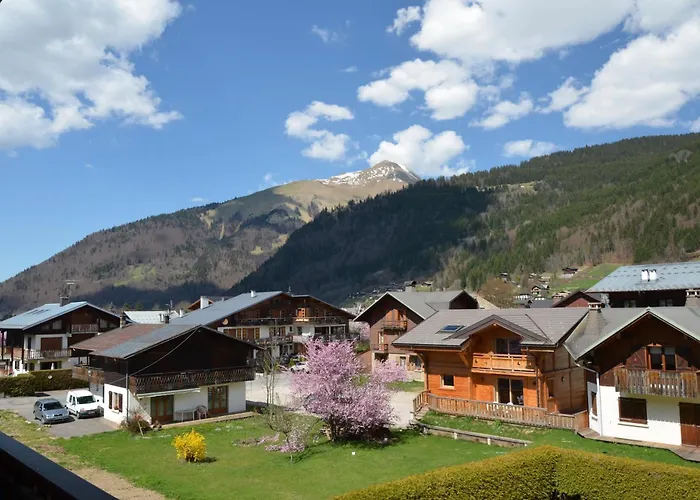 Les Bruyeres Hotel 3*